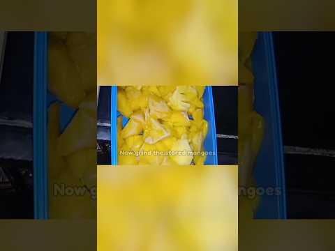 INSTANT MANGO ICECREAM RECIPE