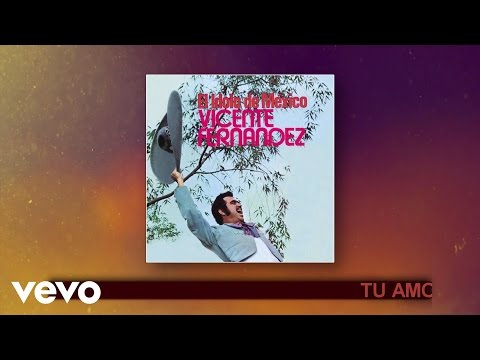 Vicente Fernández - Tu Amor Soñado (Cover Audio)