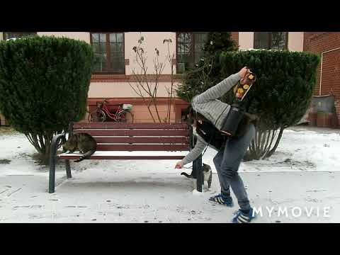 SPOTKANIE - pan Heniu ze swoją Lusią/Niunią na smyczy a ja z Chińczykiem luzem : 2.02.2021/10:22