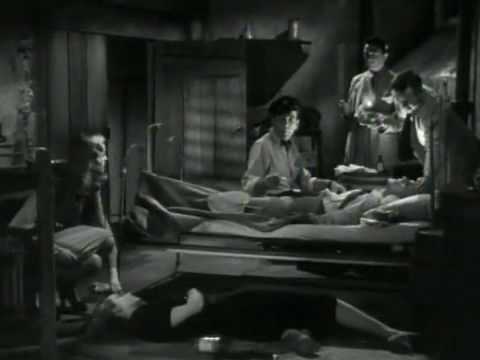 To Have and Have Not - guessing her weight - 12-22-08 9 05 AM