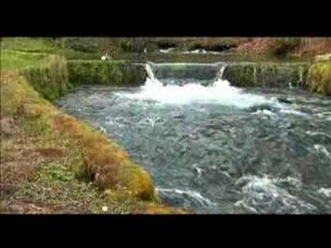 Ya ilahi - Hor Hazreti Hamza - Grup Hamza