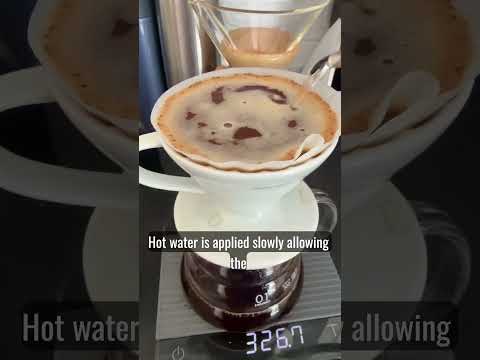 My morning coffee ritual with HarioV60 @brewcoffeeapp thumbnail