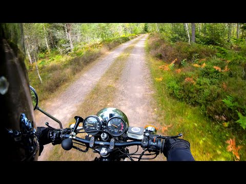 Motorcycle Brand Trash Talking