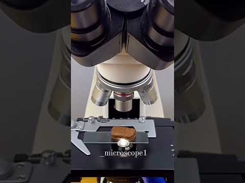 chocolate 🍫 test in microscope 🔬 ##laboratory ##