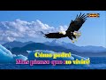 El Cóndor Pasa - Claudia De Colombia Karaoke