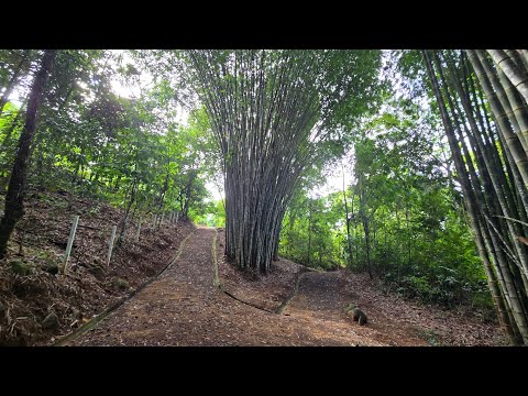 img-video