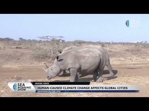 Nairobi Features Pleasant Climate, Numerous Green Spaces