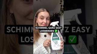 Schimmel in der Wohnung? So wirst du  schnell & sicher Schimmelfrei! ✅