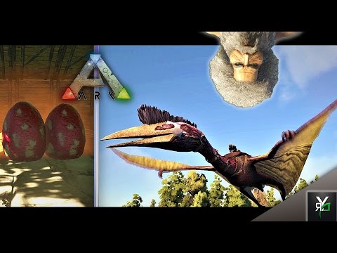 SO MUCH LUCK!!- The Center EP 16