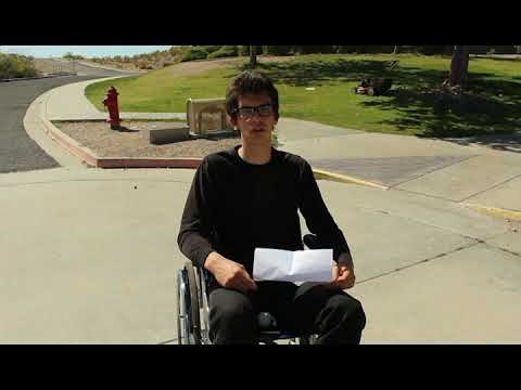 Stellaris diplomatic insults in a nutshell