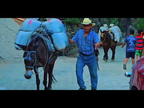 La modernización de la aldea chanrayo. 