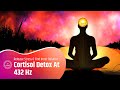 Cortisol Detox At 432 Hz: Release Stress And Find Inner Balance | Can Help You Achieve Peace Of Mind