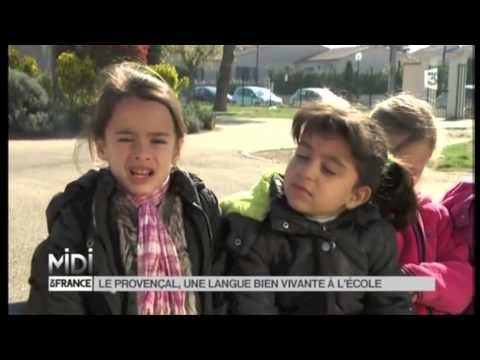 VU D'ICI : Le provençal, une langue bien vivante à l'école