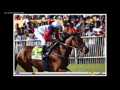 PHOTO GALLERY 2016 RACE MEETING 04