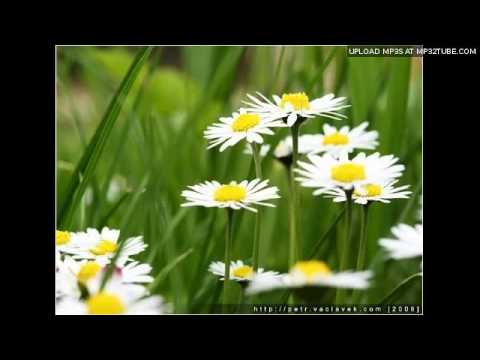 DJ Kuky feat. Uhlíř a Svěrák - Jaro 2011 (danceremix 2011)