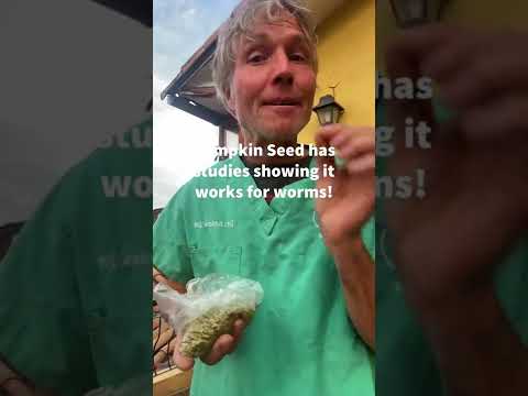 子犬の虫？これは証明された天然の駆虫薬です