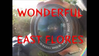preview picture of video 'Flores Timur | Travel Photo in Video'