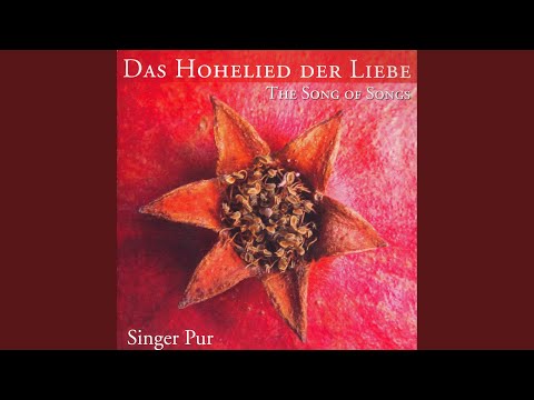 Surge, propera amica mea