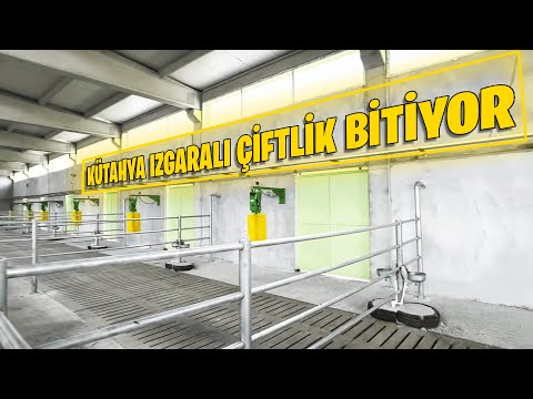 , title : 'KÜTAHYA IZGARALI ÇİFTLİK BİTİYOR'