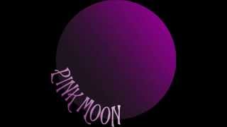 Pink Moon - Old Man Demo Version