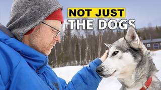 Building a Great Sled Dog Team | The 3 Things That Matter Most