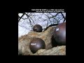 They Might Be Giants - Mr. Xcitement (Early Version)