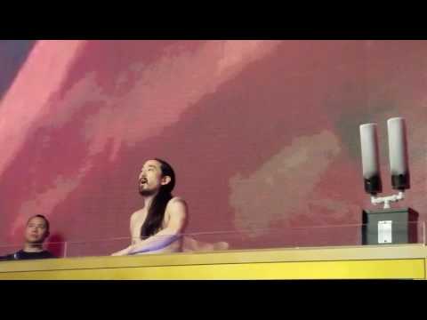 Steve Aoki - My Heart Will Go On (Premier Night Club)