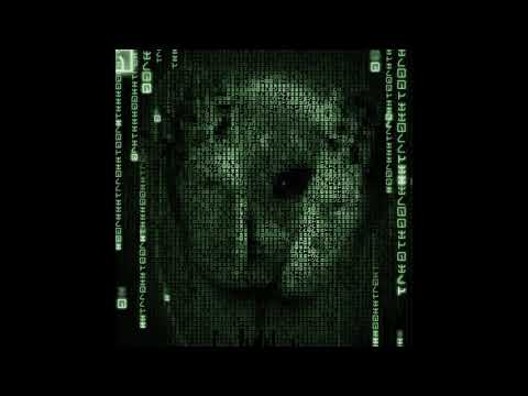 Kasatka - Little Star