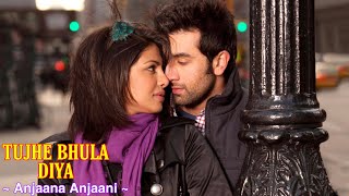 Tujhe Bhula Diya Full Song - Anjaana Anjaani | Mohit Chauhan, Shekhar Ravjiani, Shruti Pathak