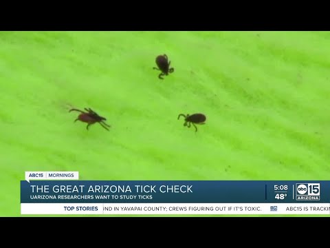 アリゾナ大学の研究者はダニを送るよう望んでいます