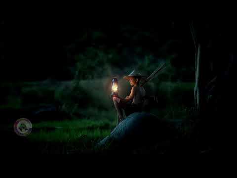 💎A Summer Breeze-Ten Tower🎶