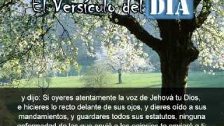 Miniatura del video: El versiculo del dia .com - Exodo 15 v26