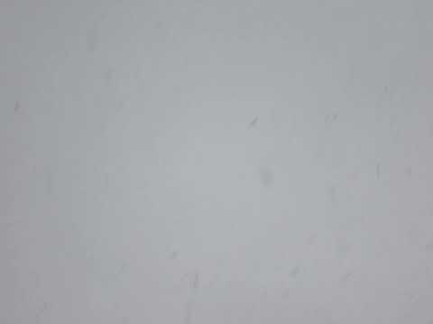 Meguro 28.01.2021 Jingu Gaien Fireworks 10.08.2019