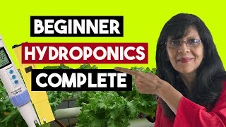 Hydroponics for beginners.All you need to know.