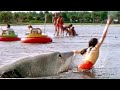 Shark Interrupts The Show Jaws 3 D CLIP