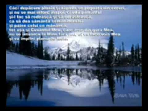 De ce-ai uitat că-n încercare - Cornel Schipor 》Țibleș