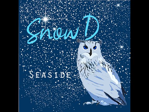 Snow D - Seaside  #dancemusic