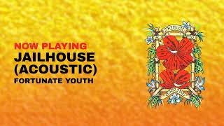 "Jailhouse (Acoustic)" by Fortunate Youth (Official Visualizer)