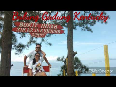 Bulung Gadung Kentaki Pedro Ginting Cipt: Antha Pryma Ginting