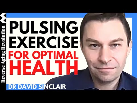 PULSING Exercise To Optimize OUR HEALTH | Dr David Sinclair Interview Clips