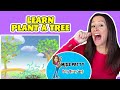 Plant a Tree (Children's song by Patty Shukla ...
