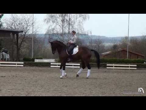 v. Quando Quando geb.: 2002