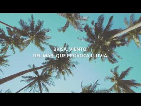 AEHECA - Campaña 17 | briq.mx