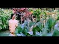 Thendral Vanthu Ennai Thodum Hd Video Song