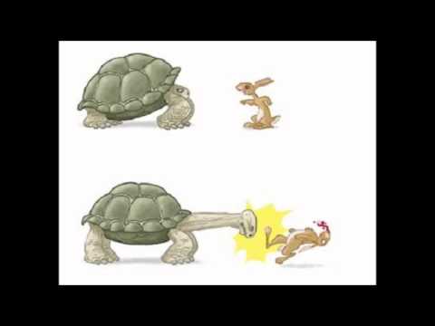 Attack Slug - Running With Tortoises