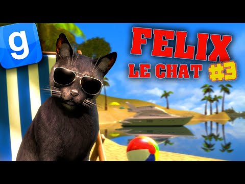 FELIX LE CHAT #3 - GARRY'S MOD DARKRP