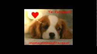 PESADO EXTRAÑO REFLEXION