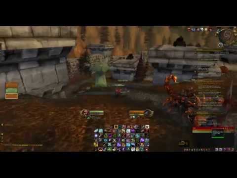 WoD 1v1 BM Hunter vs Feral Druid