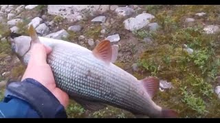 Рыбалка в воркуте на реке уса