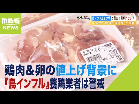 鶏の餌の量はどれくらいですか? 鶏の肥満を知っていますか? 胸骨の骨、竜骨の胃の部分をチェックしてください。